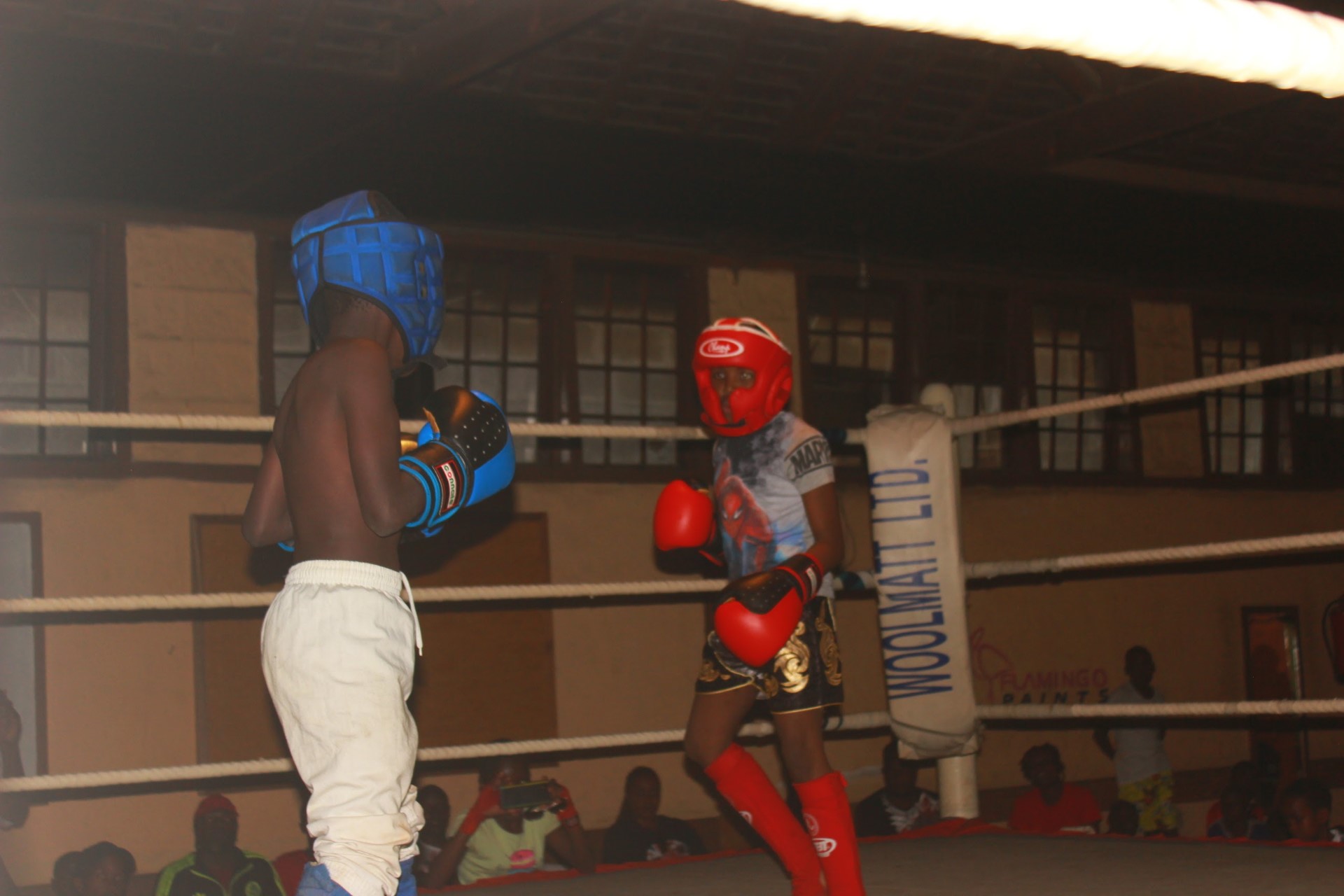 Full Contact Kickboxing photo 2 – World Kickboxing Federation Limited